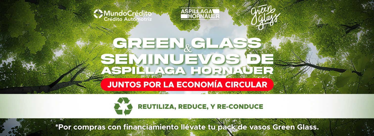 PROPUESTA GREEN GLASS 2 - SLIDER WEB SEMINUEVOS