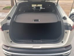 
										FIAT FASTBACK IMPETUS full									