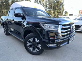 GREAT WALL POER PLUS ELITE