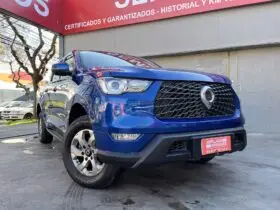 GREAT WALL POER DELUXE1